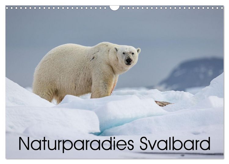 Produktbild: Naturparadies Svalbard (Wandkalender 2026 DIN A3 quer), CALVENDO Monatskalender
