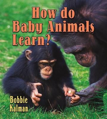 Produktbild: How Do Baby Animals Learn?