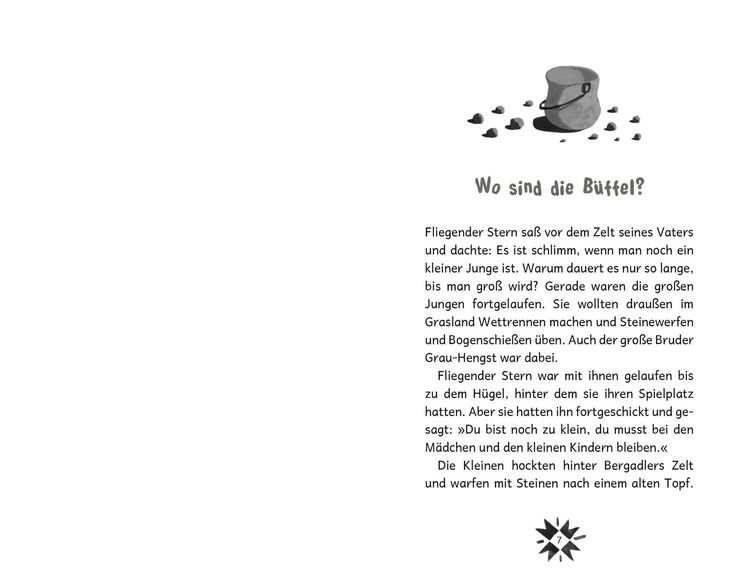 Produktbild: Fliegender Stern