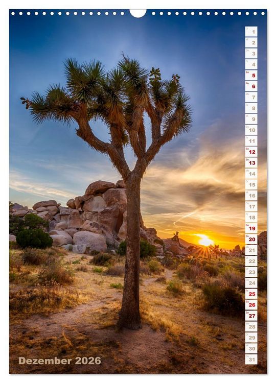 Produktbild: FASZINATION USA Urbanes und Naturhighlights (Wandkalender 2026 DIN A3 hoch), CALVENDO Monatskalender