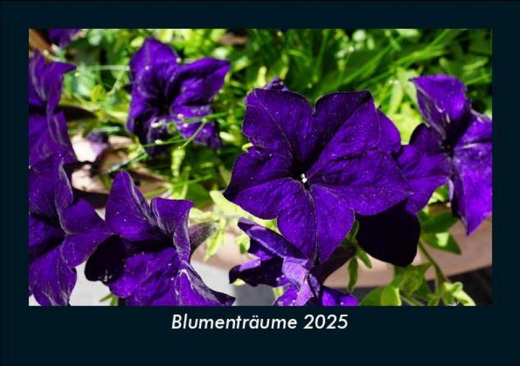 Produktbild: Blumentr&auml;ume 2025 Fotokalender DIN A5