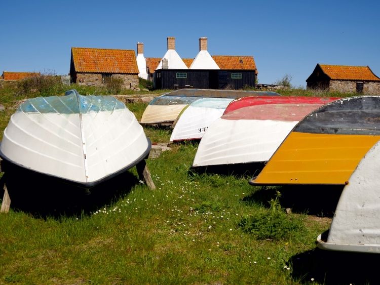 Produktbild: Ein Motiv aus dem Kalender Bornholm Pur (Puzzle)