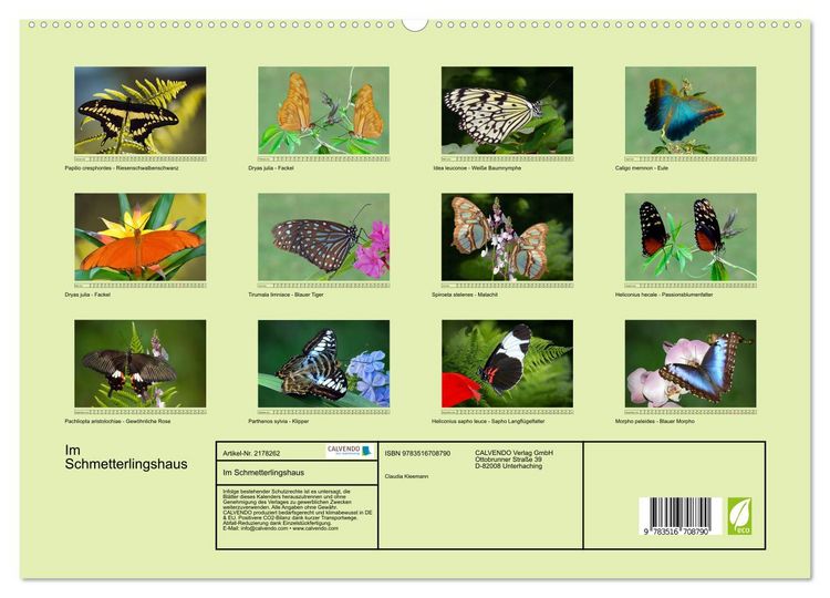 Produktbild: Im Schmetterlingshaus (hochwertiger Premium Wandkalender 2026 DIN A2 quer), Kunstdruck in Hochglanz