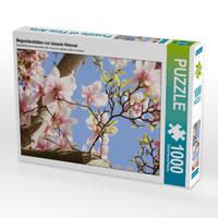 Produktbild: CALVENDO Puzzle Magnolienbl&uuml;ten vor blauem Himmel | 1000 Teile Lege-Gr&ouml;&szlig;e 64x48cm Foto-Puzzle f&uuml;r gl&uuml;ckliche Stunden