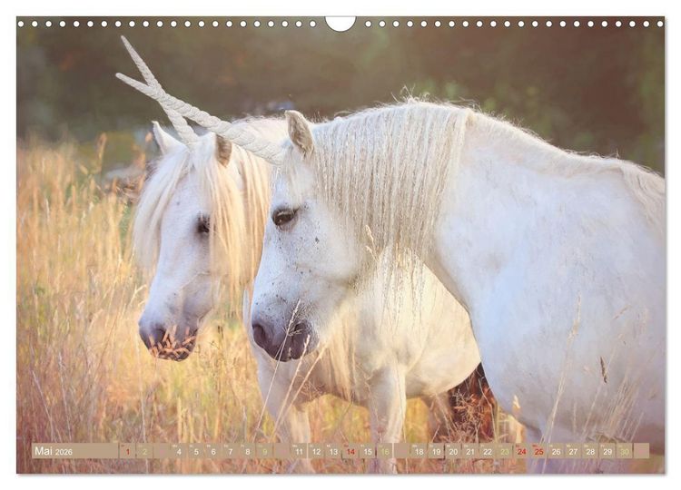 Produktbild: Einhorn Zauber - anmutige Einhornbilder (Wandkalender 2026 DIN A3 quer), CALVENDO Monatskalender