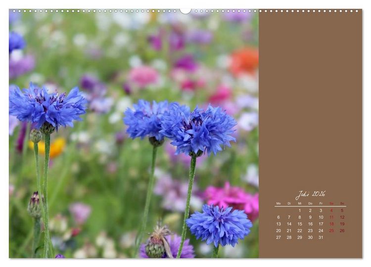 Produktbild: Bauernregeln f&uuml;r das ganze Jahr (hochwertiger Premium Wandkalender 2026 DIN A2 quer), Kunstdruck in Hochglanz