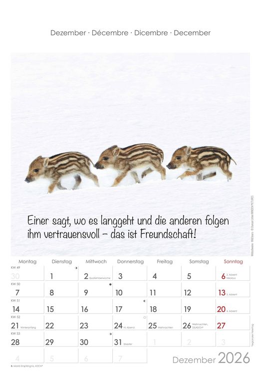 Produktbild: Kleine Freunde 2026 - Bildkalender 23,7x34 cm - Kalender mit Platz für Notizen - mit vielen Zusatzinformationen - Wandkalender - Alpha Edition