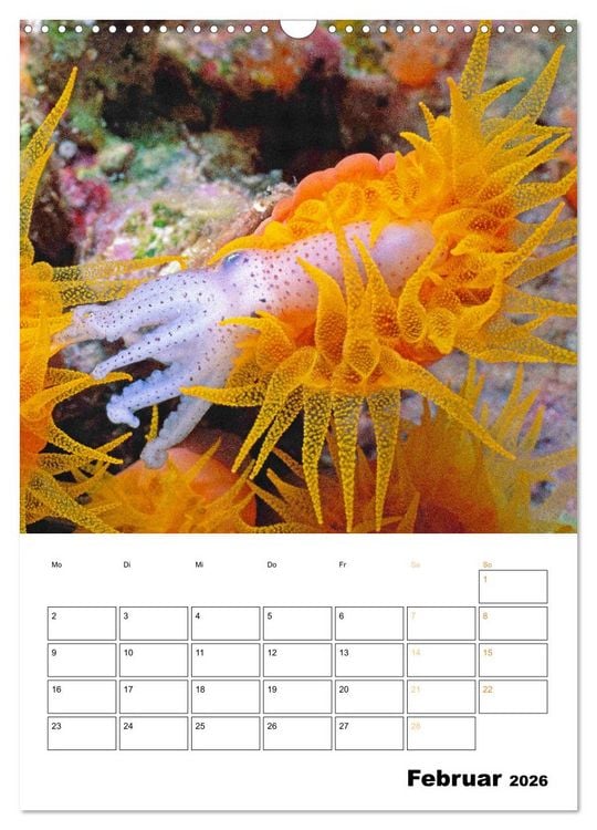 Produktbild: Farbrausch unter Wasser: Fische am Riff (Wandkalender 2026 DIN A3 hoch), CALVENDO Monatskalender
