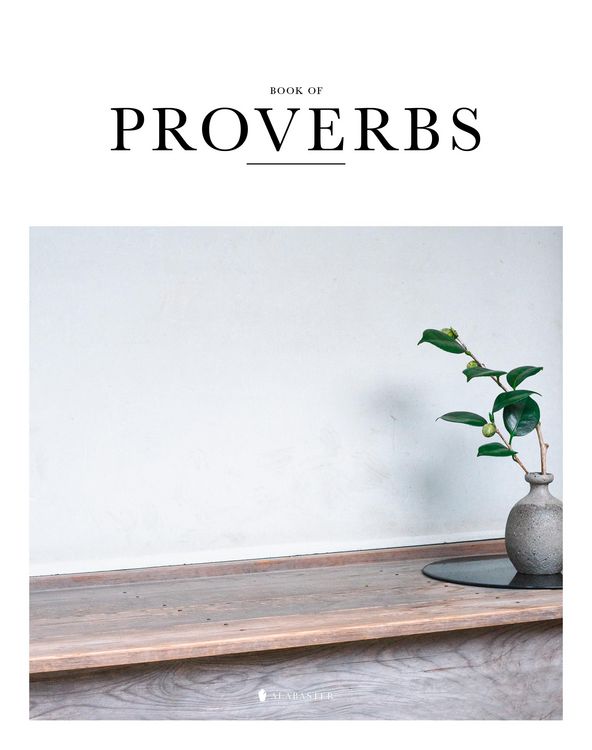 Produktbild: Book of Proverbs (Sc, Nlt)