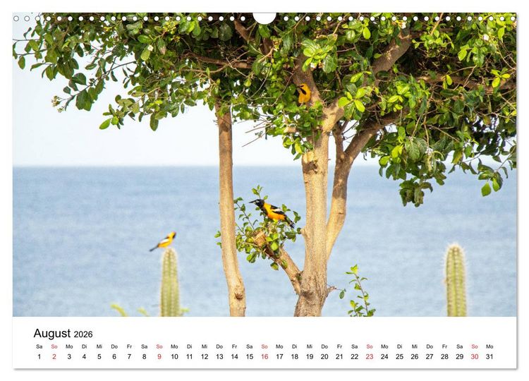 Produktbild: Curacao, die facettenreiche Karibikinsel (Wandkalender 2026 DIN A3 quer), CALVENDO Monatskalender