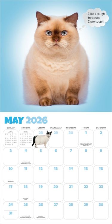 Produktbild: Chonkers Wall Calendar 2026