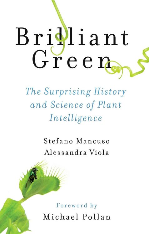 Produktbild: Brilliant Green