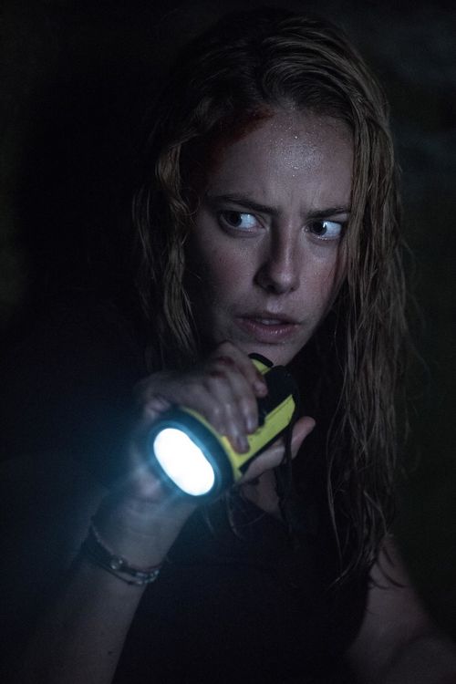Produktbild: Crawl (4K Ultra HD) (+ Blu-ray)