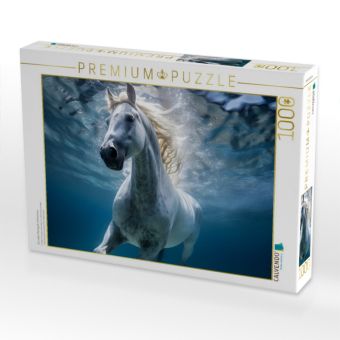 Produktbild: CALVENDO Puzzle Ein edles Pferd geht schwimmen | 1000 Teile Lege-Gr&ouml;&szlig;e 64x48cm Foto-Puzzle f&uuml;r gl&uuml;ckliche Stunden