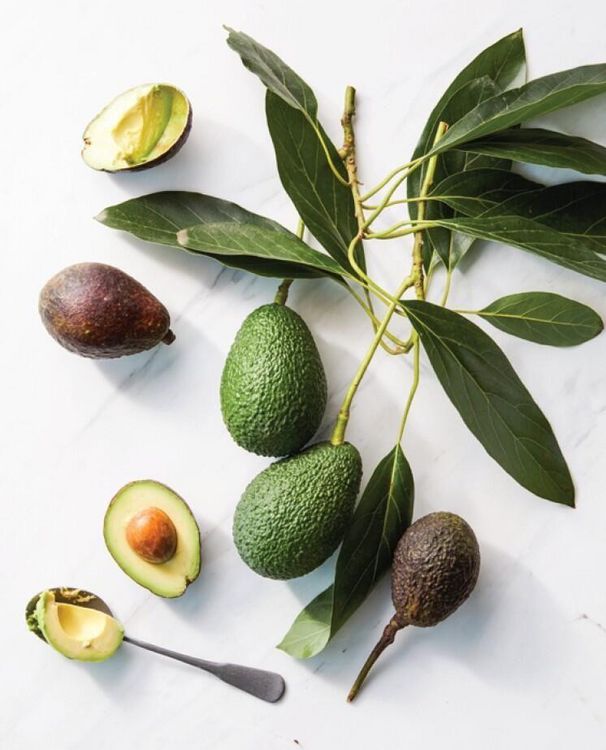 Produktbild: Food: What the Heck Should I Cook?