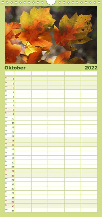 Produktbild: Familienplaner Weltnaturerbe Hainich (Wandkalender 2022 , 21 cm x 45 cm, hoch)