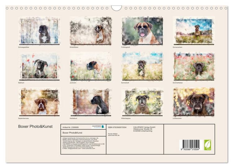 Produktbild: Boxer Photo&Kunst (Wandkalender 2027 DIN A3 quer), CALVENDO Monatskalender