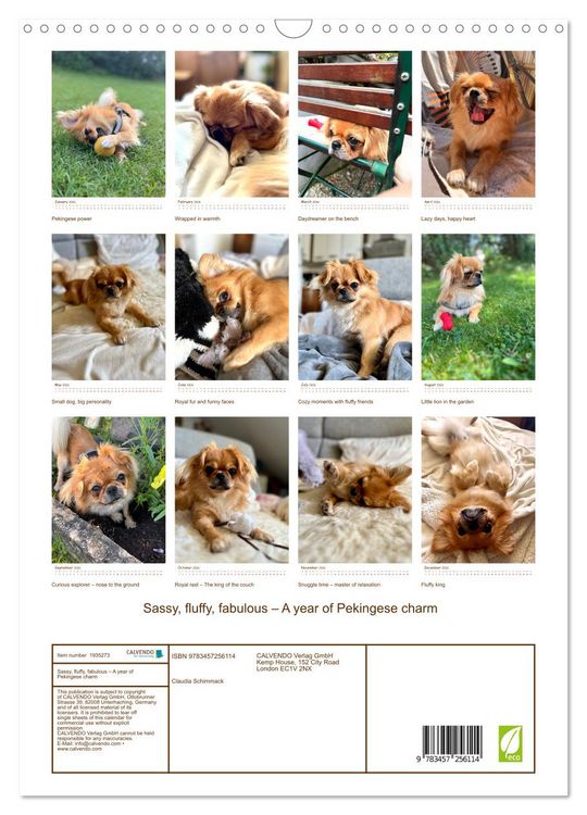 Produktbild: Sassy, fluffy, fabulous &ndash; A year of Pekingese charm (Wall Calendar 2026 DIN A3 portrait), CALVENDO 12 Month Wall Calendar