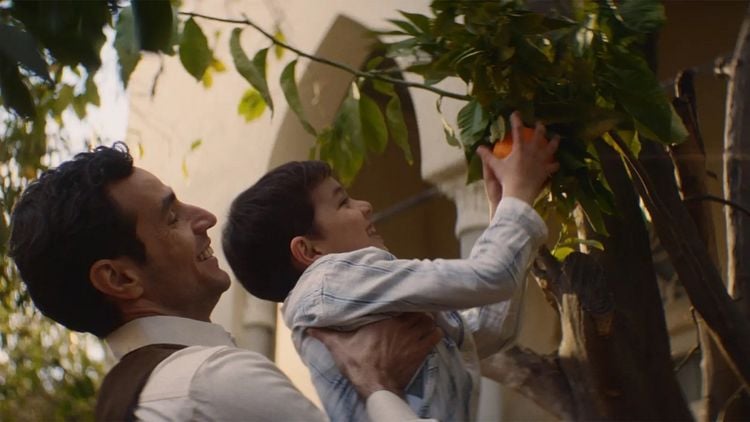 Produktbild: Im Schatten des Orangenbaums