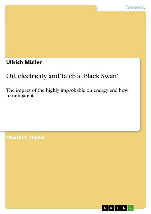 Produktbild: Oil, electricity and Taleb's 'Black Swan'