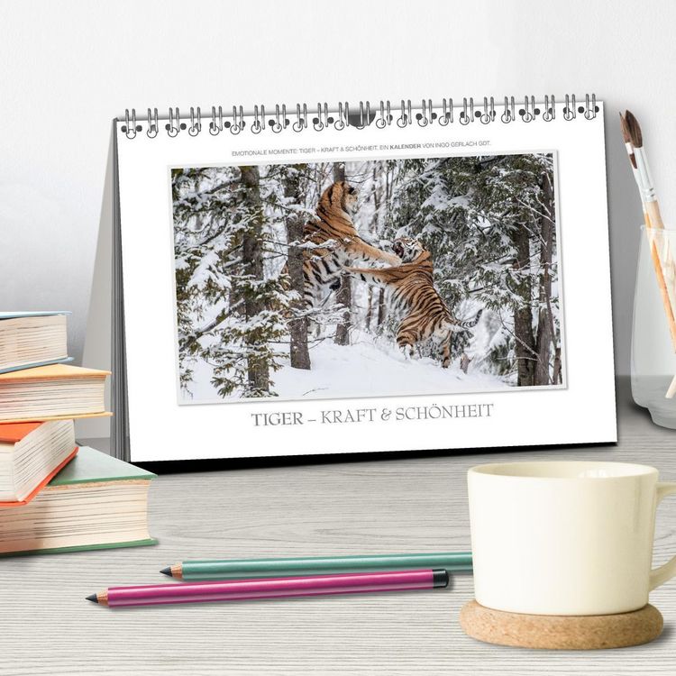 Produktbild: Emotionale Momente: Tiger - Kraft & Sch&ouml;nheit. / CH-Version (Tischkalender 2026 DIN A5 quer), CALVENDO Monatskalender
