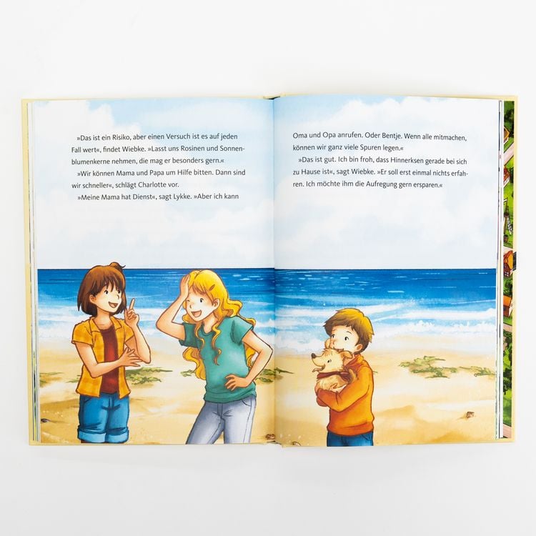 Produktbild: Ein Sommer in Kiekersum. Abenteuer auf dem Tierhof (Band 1)