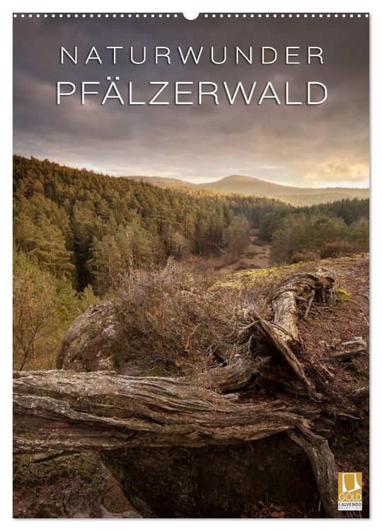 Produktbild: NATURWUNDER PF&Auml;LZERWALD (Wandkalender 2027 DIN A2 hoch), CALVENDO Monatskalender