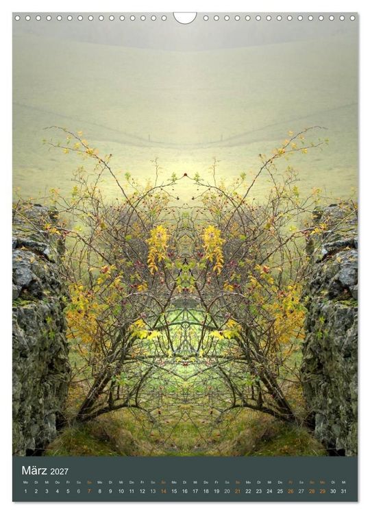 Produktbild: Spiegelwelten - Botschaften der Naturwesen (Wandkalender 2027 DIN A3 hoch), CALVENDO Monatskalender