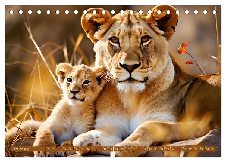 Produktbild: Tierkinder Afrikas - Entdecke ihre zauberhafte Welt (Tischkalender 2026 DIN A5 quer), CALVENDO Monatskalender