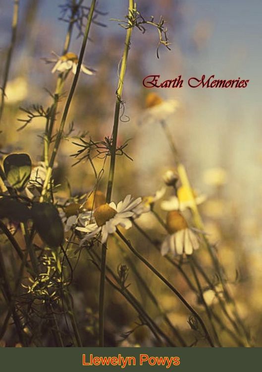 Produktbild: Earth Memories