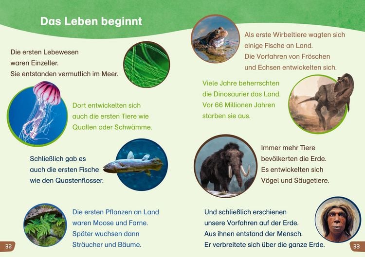 Produktbild: WAS IST WAS Erstes Lesen easy! Entdecke unsere Erde