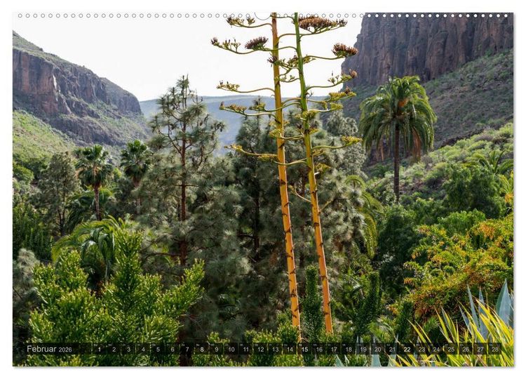 Produktbild: Grandioses Canaria (Wandkalender 2026 DIN A2 quer), CALVENDO Monatskalender