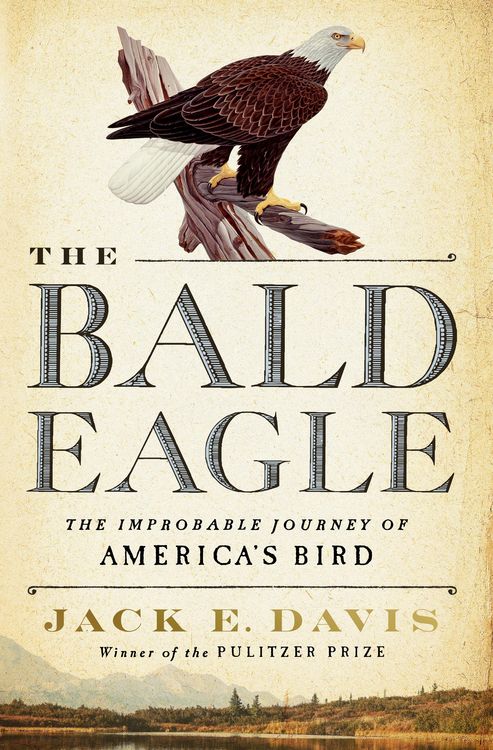 Produktbild: The Bald Eagle