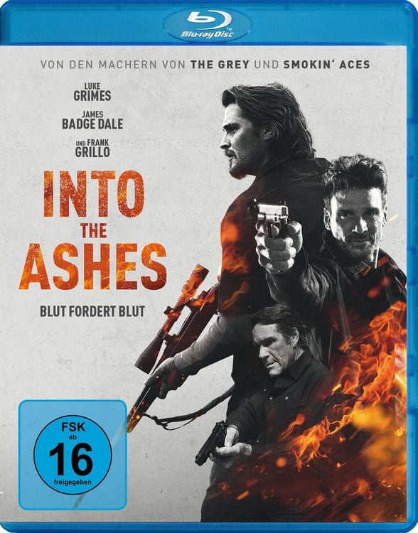 Produktbild: Into the Ashes