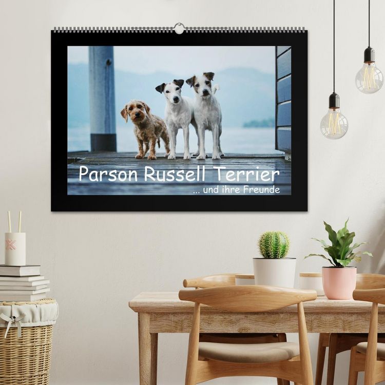 Produktbild: Parson Russell Terrier (Wandkalender 2026 DIN A2 quer), CALVENDO Monatskalender