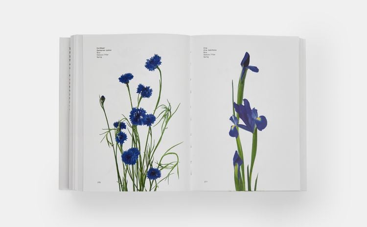 Produktbild: Flower Colour Guide
