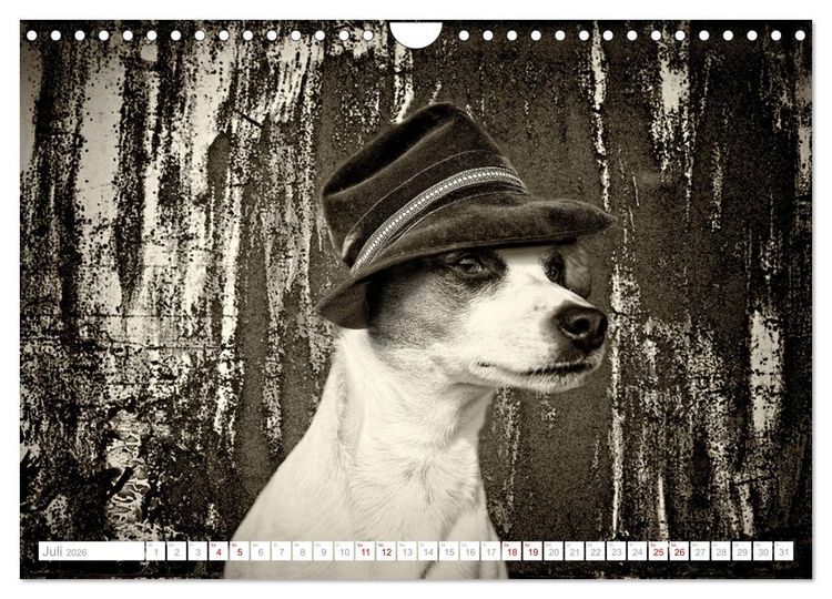 Produktbild: Hund tr&auml;gt Hut (Wandkalender 2026 DIN A4 quer), CALVENDO Monatskalender