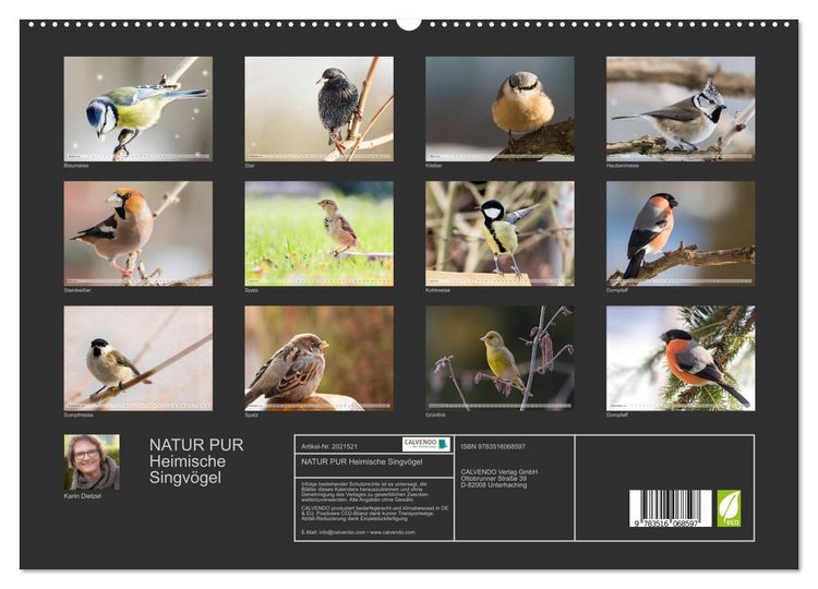 Produktbild: NATUR PUR Heimische Singv&ouml;gel (hochwertiger Premium Wandkalender 2026 DIN A2 quer), Kunstdruck in Hochglanz
