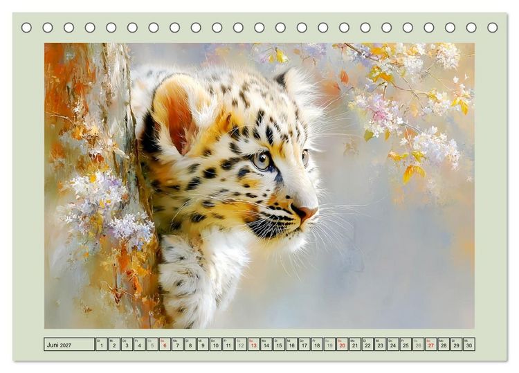 Produktbild: Schneeleoparden. Babys in der leuchtenden Natur (Tischkalender 2027 DIN A5 quer), CALVENDO Monatskalender