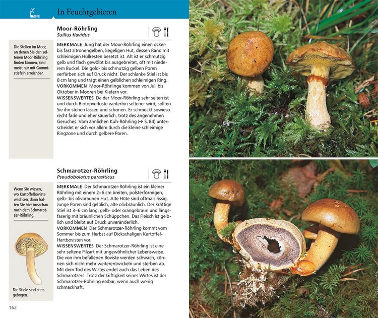 Produktbild: Kosmos Pilzf&uuml;hrer f&uuml;r unterwegs