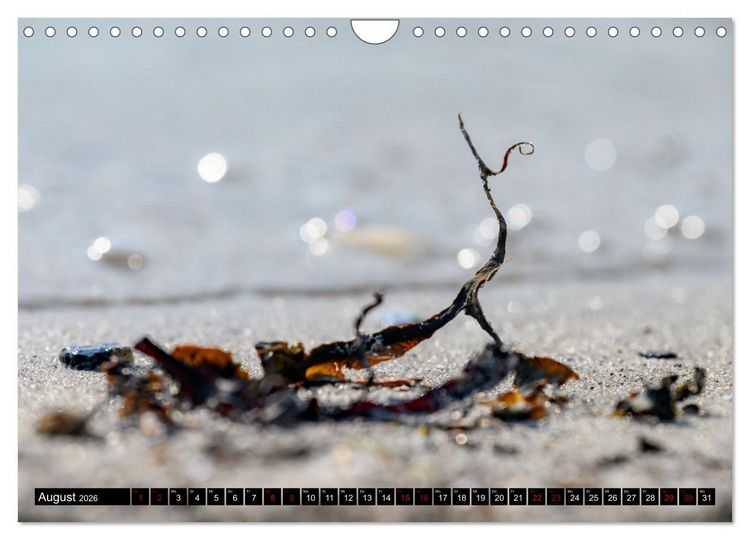Produktbild: Strandobjekte (Wandkalender 2026 DIN A4 quer), CALVENDO Monatskalender