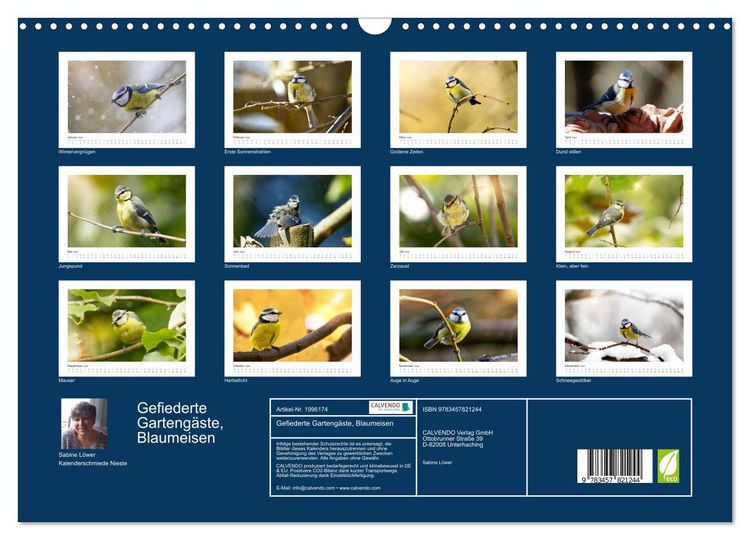 Produktbild: Gefiederte Garteng&auml;ste, Blaumeisen (Wandkalender 2026 DIN A3 quer), CALVENDO Monatskalender