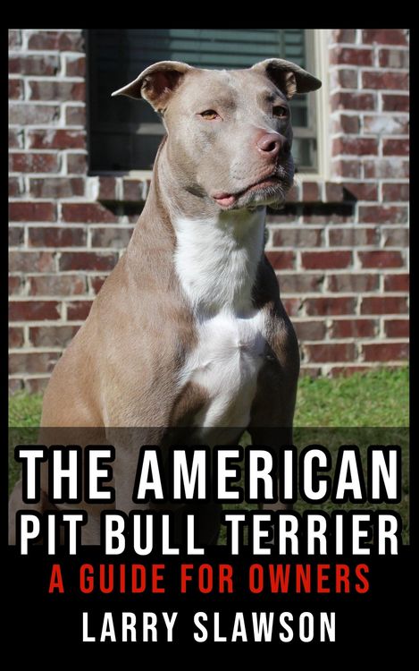 Produktbild: The American Pit Bull Terrier