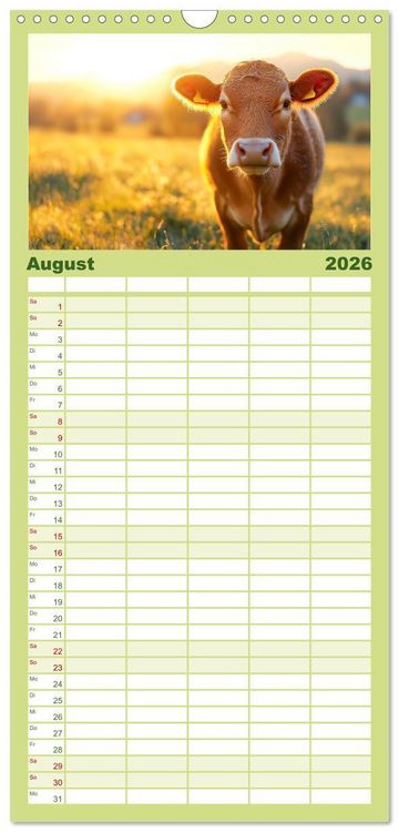 Produktbild: Familienplaner 2026 - K&Uuml;HE AUF DER ALM &ndash; Der Kalender aus Bayern mit 5 Spalten (Wandkalender, 21 x 45 cm) CALVENDO