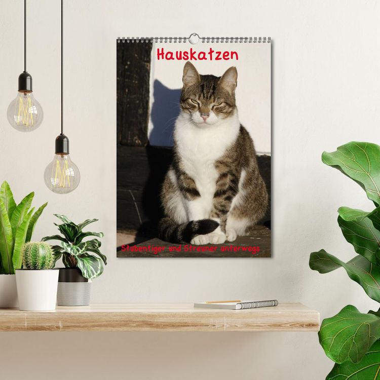 Produktbild: Hauskatzen (Wandkalender 2026 DIN A3 hoch), CALVENDO Monatskalender
