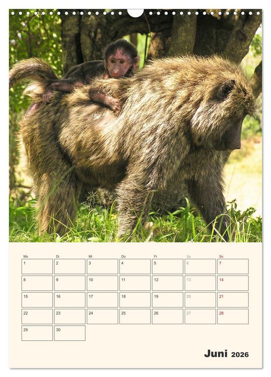 Produktbild: Kenia &ndash; Terminplaner (Wandkalender 2026 DIN A3 hoch), CALVENDO Monatskalender