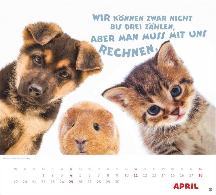 Produktbild: Mach mal Pause Bildkalender 2027