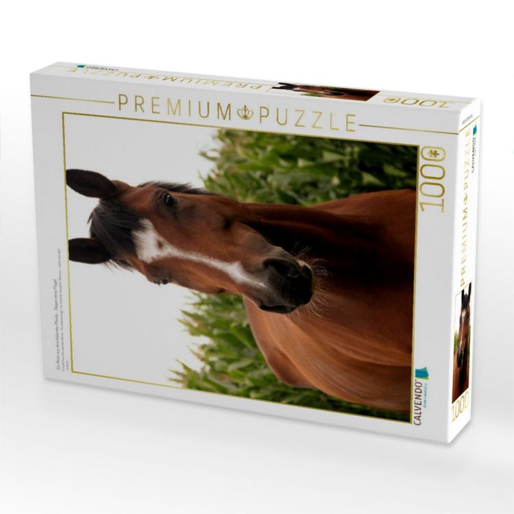 Produktbild: CALVENDO Puzzle Ein Motiv aus dem Kalender Pferde ... fliegen ohne Fl&uuml;gel | 1000 Teile Lege-Gr&ouml;&szlig;e 64x48cm Foto-Puzzle f&uuml;r gl&uuml;ckliche Stunden
