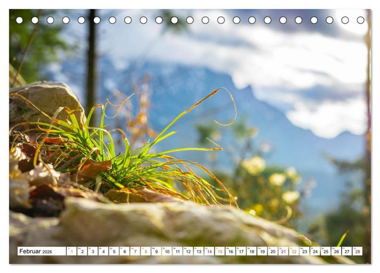 Produktbild: Natur hautnah Kalender (Tischkalender 2026 DIN A5 quer), CALVENDO Monatskalender