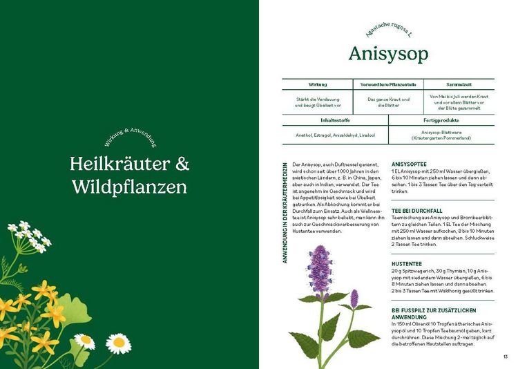 Produktbild: Heilen mit pflanzlichen Antibiotika